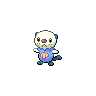 Oshawott - Black White (Shiny)