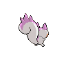 Pachirisu - Black White (Back View (Shiny))