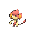 Pansear - X Y (Normal)