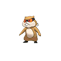 Patrat - Omega Ruby Alpha Sapphire (Normal)
