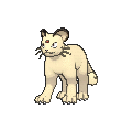 Persian - X Y (Normal)