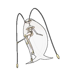 Pheromosa - Ultra Sun Ultra Moon