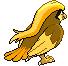Pidgeot - Black 2 White 2 Black White Animated (Back View (Shiny))