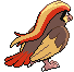 Pidgeot - Black 2 White 2 Black White Animated (Back View)