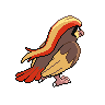 Pidgeot - Black White (Back View)