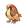Pidgeot - Black White (Normal)