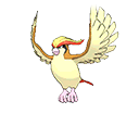 Pidgeot - Bank