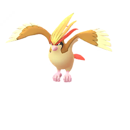 Pidgeot - GO (Normal)