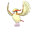 Pidgeot - Omega Ruby Alpha Sapphire (Normal)