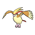 Pidgeot - X Y (Normal)