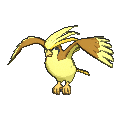 Pidgeot - X Y (Shiny)