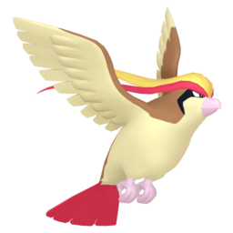 Pidgeot - Home