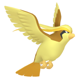 Pidgeot - Home