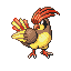 Pidgeotto - Emerald (Normal)