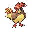 Pidgeotto - FireRed LeafGreen (Normal)
