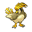 Pidgeotto - FireRed LeafGreen (Shiny)