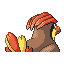 Pidgeotto - Ruby Sapphire (Back View)