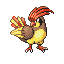 Pidgeotto - Ruby Sapphire (Normal)