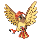 Pidgeotto - Diamond Pearl (Normal)