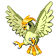 Pidgeotto - Diamond Pearl (Shiny)
