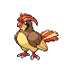 Pidgeotto - HeartGold SoulSilver (Normal)
