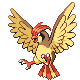 Pidgeotto - Platinum (Normal)