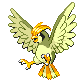 Pidgeotto - Platinum (Shiny)