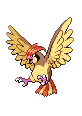 Pidgeotto - Black 2 White 2 Black White Animated (Normal)