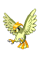 Pidgeotto - Black 2 White 2 Black White Animated (Shiny)
