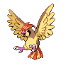 Pidgeotto - Black White (Normal)