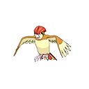 Pidgeotto - Bank