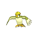 Pidgeotto - Bank