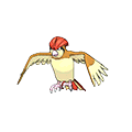 Pidgeotto - Omega Ruby Alpha Sapphire (Normal)