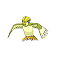 Pidgeotto - Omega Ruby Alpha Sapphire (Shiny)