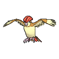 Pidgeotto - X Y (Normal)