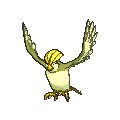 Pidgeotto - X Y (Shiny)