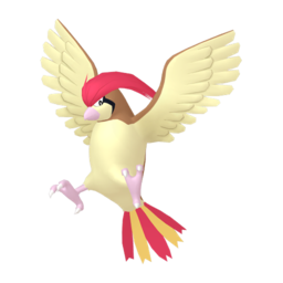 Pidgeotto - Home