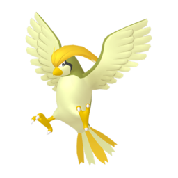 Pidgeotto - Home