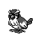 Pidgey - Yellow (Normal)