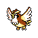 Pidgey - Crystal (Normal)