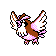 Pidgey - Gold (Normal)