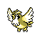 Pidgey - Gold (Shiny)