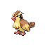 Pidgey - FireRed LeafGreen (Normal)