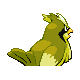 Pidgey - Diamond Pearl (Back View (Shiny))