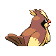 Pidgey - HeartGold SoulSilver (Back View)