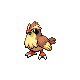 Pidgey - HeartGold SoulSilver (Normal)
