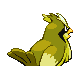 Pidgey - Platinum (Back View (Shiny))