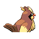 Pidgey - Platinum (Back View)