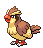 Pidgey - Black 2 White 2 Black White Animated (Normal)