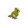 Pidgey - Black White (Back View (Shiny))